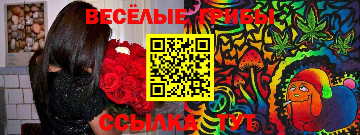 Псилоцибиновые грибы Psilocybe Солнечногорск